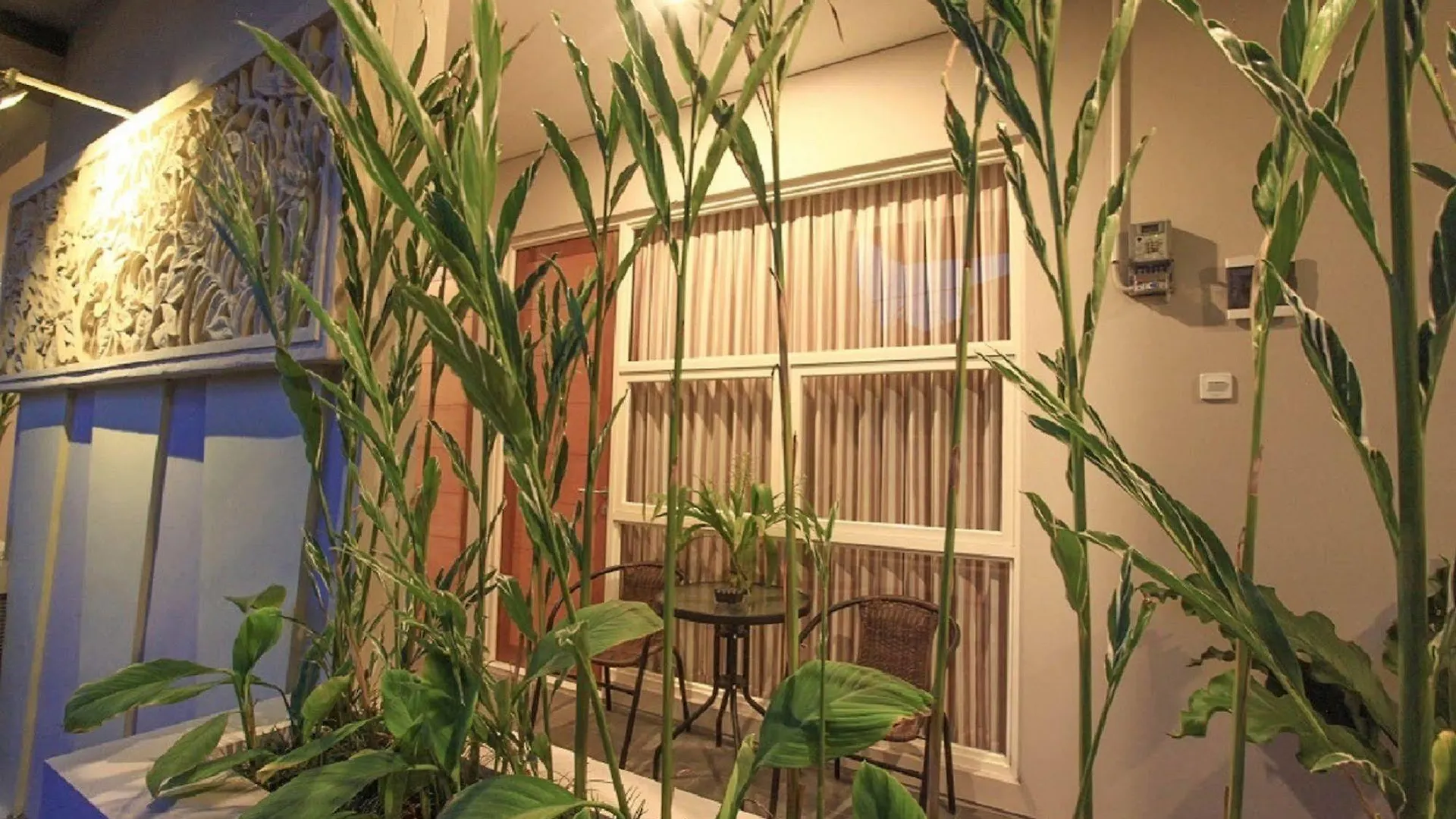 Апарт-отель Апарт отель Bali True Living Денпасар